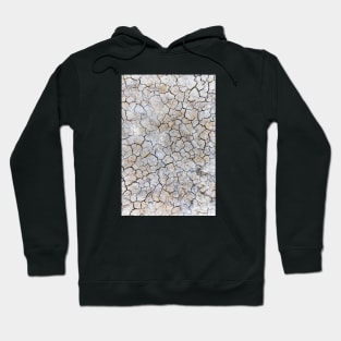 Dry and swollen earth texture Hoodie